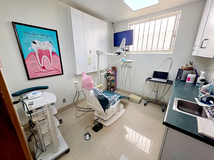 25 – 234 San Fernando